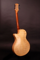 DJ Archtop Guitar Back view
